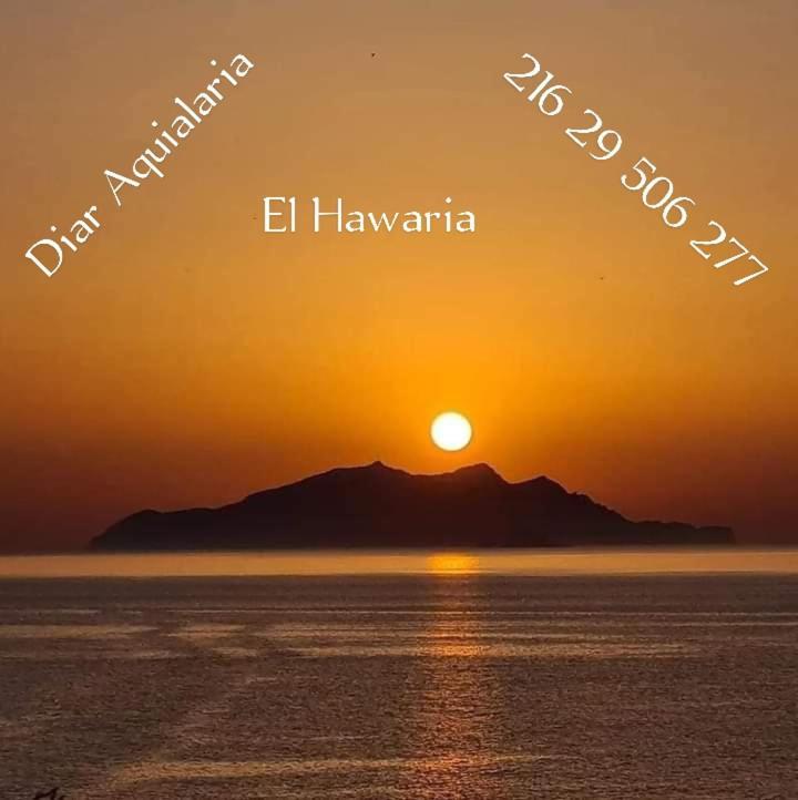 Residence Aquilaria Dar Narjes El Haouaria Bagian luar foto